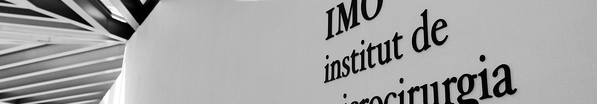 Detalle del acceso a IMO