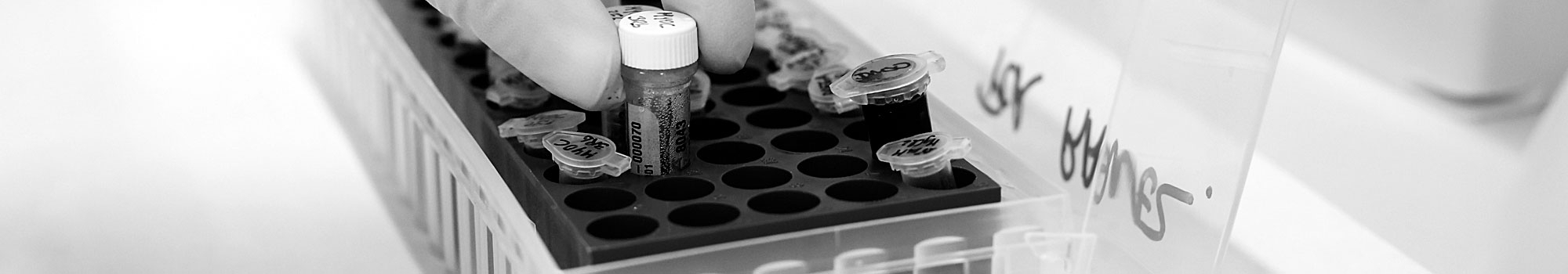 Investigación