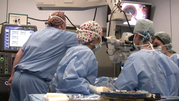 Vitrectomía en retinopatía diabética