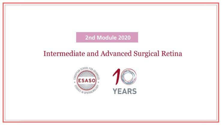 Intermediate and Advanced Surgical Retina ESASO 