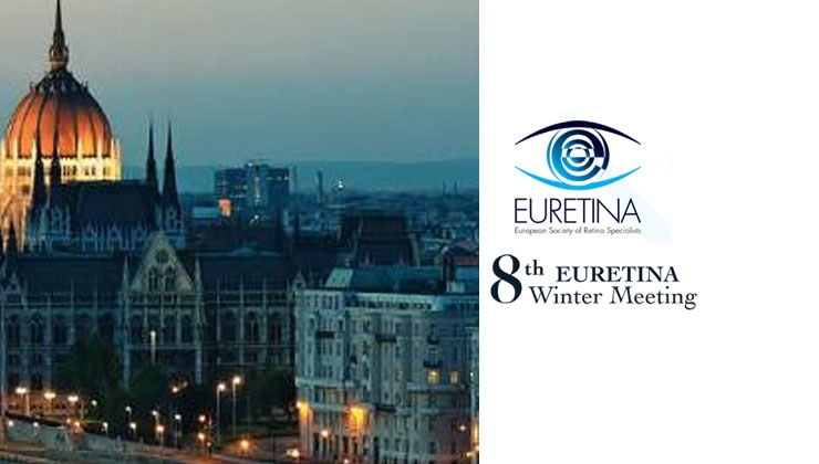 8th EURETINA Winter Meeting 