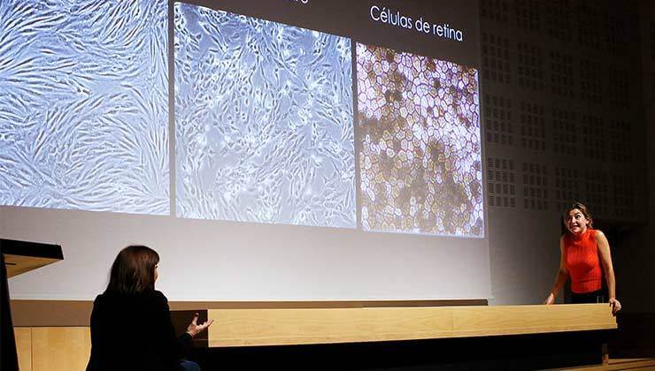 fotogafía de la obra grabado en la retina