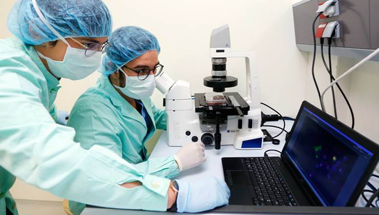 investigadores Fundación IMO proyecto CRISPR