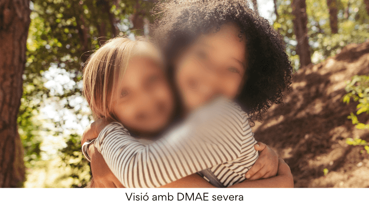 DMAE: projectes de recerca