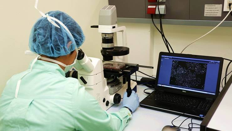 Experiencia en investigación