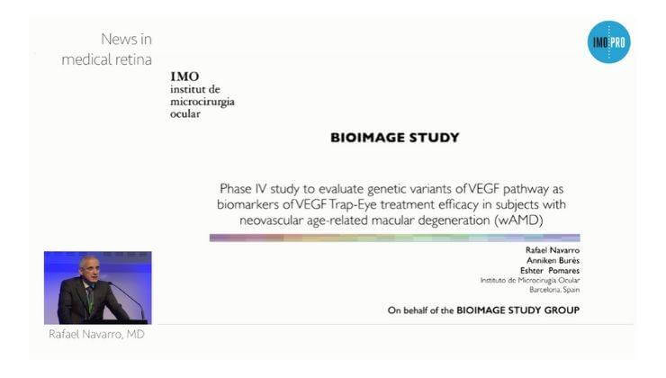  News in medical retina 