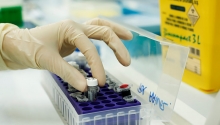 Proceso de investigación